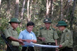 Ninh Thuận thành lập 3 tổ kiểm tra lưu động để bảo vệ rừng