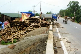 Cần xử lý dứt điểm tình trạng vi phạm an toàn đê điều ở Hà Nội