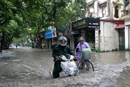 Công điện của Thủ tướng Chính phủ chỉ đạo đối phó bão Rammasun