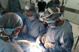 Ảnh chỉ có tính minh họa. (Ảnh: Mai Trang/TTXVN) 