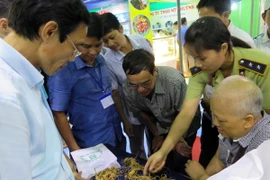 Kiểm định phân tích đặc điểm sâm thật. (Ảnh: Nguyễn Sơn/TTXVN)