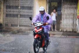 Ảnh chỉ có tính minh họa. (Ảnh: Lê Minh Sơn/Vietnam+)