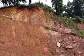 Ảnh chỉ có tính minh họa. (Ảnh: Thu Hằng/TTXVN)