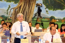Bộ trưởng, Chủ nhiệm Ủy ban Dân tộc Đỗ Văn Chiến trả lời chất vấn. (Ảnh: Trọng Đức/TTXVN)