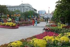 Phố đi bộ Nguyễn Huệ. (Ảnh: Thế Anh/TTXVN)