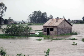 Ảnh chỉ có tính minh họa. (Ảnh: Tràng Dương/TTXVN)