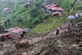 Ảnh chỉ có tính minh họa. (Ảnh: Việt Dũng/TTXVN)