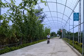 (Ảnh minh họa: Vũ Sinh/TTXVN)