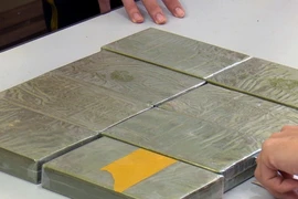 Ảnh chỉ có tính minh họa. (Nguồn: TTXVN)