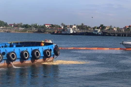 Ảnh chỉ có tính minh họa. (Ảnh: Trịnh Duy Hưng/TTXVN)