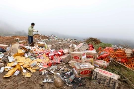 Các sản phẩm hàng hóa bị tiêu hủy. (Ảnh: Nguyễn Dũng/TTXVN)