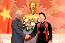 Chủ tịch Quốc hội Nguyễn Thị Kim Ngân tiếp ông Kamal Malhotra, Điều phối viên thường trú của Liên hợp quốc tại Việt Nam. (Ảnh: Trọng Đức/TTXVN)