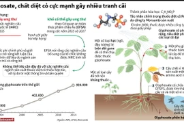 [Infographics] Glyphosate - Chất diệt cỏ cực mạnh gây nhiều tranh cãi