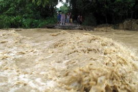 Ảnh chỉ có tính minh họa. (Ảnh: Chu Quốc Hùng/TTXVN)