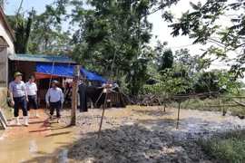 Sau khi nước rút đã để lại một lượng bùn, rác thải, xác động vật gây ô nhiễm môi trường, ô nhiễm nguồn nước... tiềm ẩn nguy cơ phát sinh các loại dịch bệnh ảnh hưởng đến sức khỏe của người dân. (Ảnh: Hoa Mai/TTXVN)