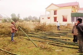 Phiên chợ nêu làng biển thường họp từ ngày 25 đến sang 30 tháng Chạp và duy nhất một lần trong năm. (Ảnh: Võ Dung/TTXVN)