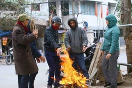 Người dân tại Hà Nội đốt củi để sưởi ấm tránh rét. (Ảnh: Quang Quyết/TTXVN)