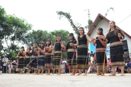 Ảnh chỉ có tính minh họa. (Ảnh: Tuấn Anh/TTXVN)