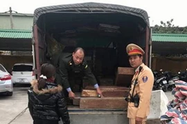 Ảnh chỉ có tính minh họa. (Ảnh: Đậu Tất Thành/TTXVN)