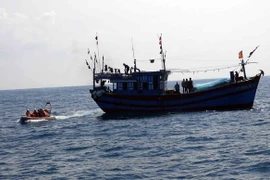 Ảnh chỉ có tính minh họa. (Nguồn: TTXVN)