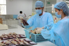 Kiểm tra các đơn vị máu chuẩn bị đưa vào kho lạnh bảo quản. (Ảnh: Phương Vy/TTXVN)