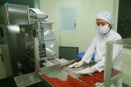 Sản xuất thuốc tại Công ty Cổ phần Dược phẩm Trung ương 3. (Ảnh: Lâm Khánh/TTXVN)