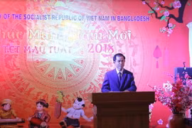 Đại sứ Trần Văn Khoa phát biểu tại buổi gặp mặt. (Ảnh: Huy Bình/Vietnam+)