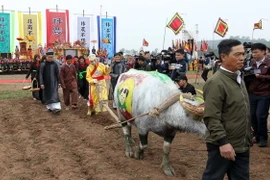 Thực hiện nghi thức với đường cày đầu xuân tại Lễ khai hội Tịch điền Đọi Sơn 2017. (Ảnh: Quốc Khánh/TTXVN)