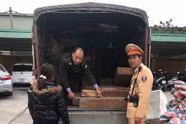 Ảnh chỉ có tính minh họa. (Ảnh: TTXVN phát)