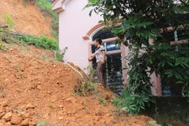 Ảnh chỉ có tính minh họa. (Ảnh: Bích Huệ/TTXVN)