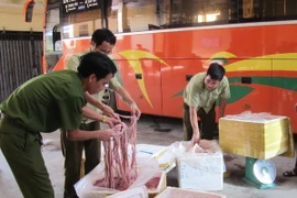 (Ảnh minh họa: Hải Yến/TTXVN)