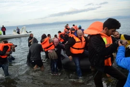 Người di cư tới đảo Lesbos của Hy Lạp sau hành trình vượt biển Aegean từ Thổ Nhĩ Kỳ ngày 24/11. (Nguồn: AFP/TTXVN)