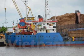 Tàu Hoàng Tuấn 28 vi phạm quy định an toàn hàng hải. (Ảnh: Hoàng Ngọc/Vietnam+)