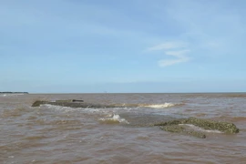 (Ảnh minh họa: Nguyễn Xuân Tiến/TTXVN) 