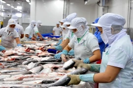 Chế biến cá tra xuất khẩu tại Công ty Hùng Cá, TP. Cao Lãnh. (Ảnh: An Hiếu/TTXVN)