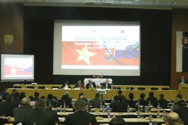 Phó Thủ tướng Hoàng Trung Hải dự Diễn đàn hợp tác kinh tế Việt Nam-Slovakia. (Ảnh: Hồng Tâm/TTXVN)