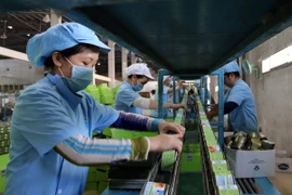 Chế biến cá đóng hộp xuất khẩu tại nhà máy KTCFOOD. (Ảnh: Lê Huy Hải/TTXVN)