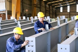 Hoạt động sản xuất tại Công ty TNHH Thương mại dịch vụ cơ khí và xây dựng Đại Quang Long ở thị xã Thuận An, tỉnh Bình Dương. (Ảnh: Hải Âu/TTXVN)