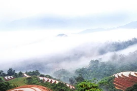 Băng tuyết trên núi Lao Xa, xã Sủng là(huyện Đồng Văn) và xã Xín Cái (huyện Mèo Vạc). (Ảnh: Văn Phát/TTXVN)