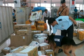 Chó nghiệp vụ kiểm tra lá Khat tai Bưu điện Thành phố. (Ảnh: Hoàng Hải/Vietnam+)
