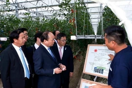 Thủ tướng Nguyễn Xuân Phúc đến thăm Nông trại Yokoyama, tại thành phố Nagoya, Nhật Bản. (Ảnh: Thống Nhất/TTXVN)