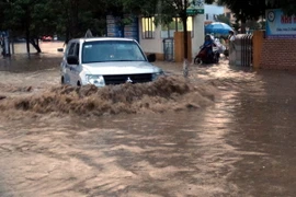 Ảnh chỉ có tính minh họa. (Ảnh: Đức Hiếu/TTXVN)