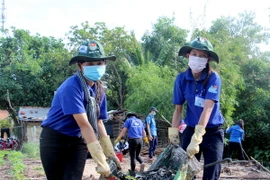 Ảnh chỉ có tính minh họa. (Ảnh: Thanh Tân/TTXVN)