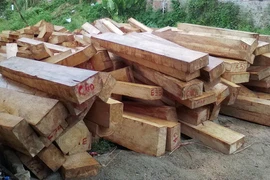 Tang vật vụ án. (Ảnh: Hà Quảng/Vietnam+)