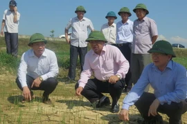 Lãnh đạo tỉnh Nghệ An kiểm tra công tác chống hạn tại xã Hưng Tây, huyện Hưng Nguyên. (Ảnh: Nguyễn Văn Nhật/Vietnam+)