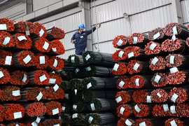 Ảnh chỉ có tính minh họa. (Ảnh: Huy Hùng/TTXVN)