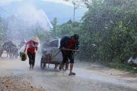 Ảnh chỉ có tính minh họa. (Ảnh: Thế Duyệt/TTXVN)