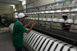 (Ảnh minh họa: Vũ Sinh/TTXVN)