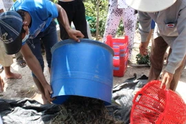 Tìm hướng đi để khai thác hiệu quả tiềm năng thủy sản