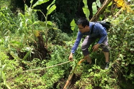 Xuất hiện vết nứt dài khoảng 150m trên sườn núi tại Lai Châu